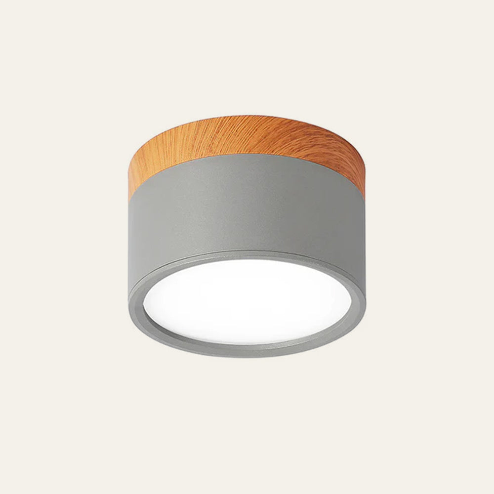 Modern Cylinder LED Flush Mount Ceiling Lamp