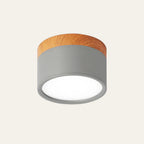 Modern Cylinder LED Flush Mount Ceiling Lamp