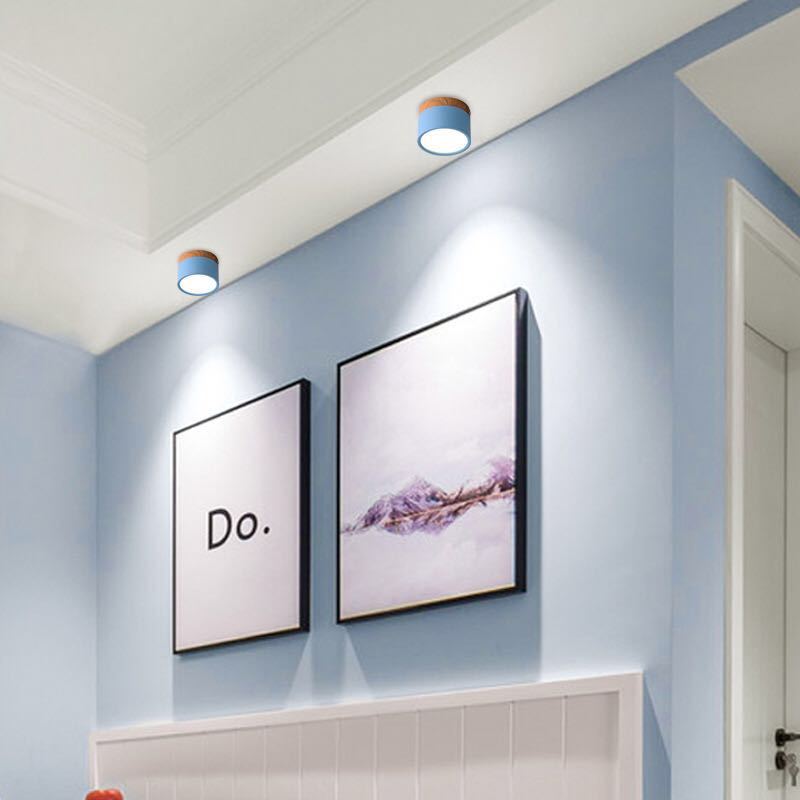 Morandi Style Modern LED Ceiling Lamp