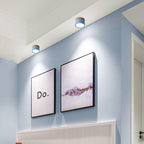 Morandi Style Modern LED Ceiling Lamp