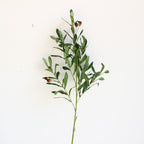 Decorative Olive Branch Arrangement