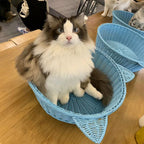 Cat Ear Woven Storage Basket