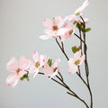 Decorative Dogwood Stem