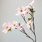 Decorative Dogwood Stem