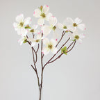 Decorative Dogwood Stem