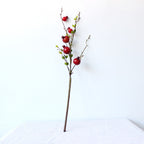Decorative Pomegranate Branch