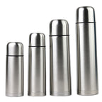 Insulated Stainless Steel Water Bottle