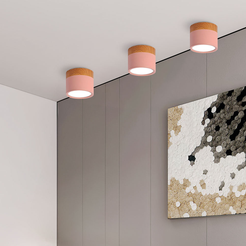 Modern Cylinder LED Flush Mount Ceiling Lamp
