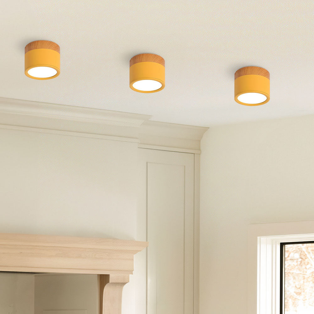 Modern Cylinder LED Flush Mount Ceiling Lamp