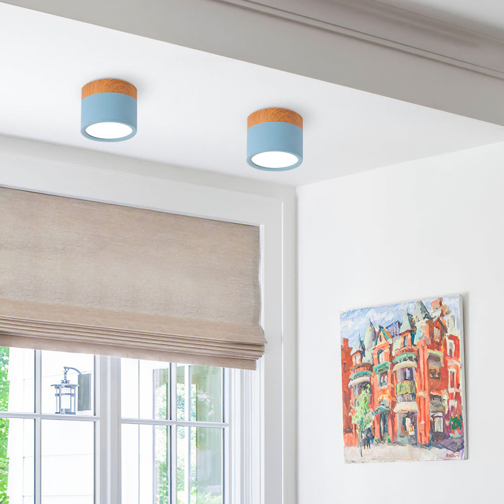 Modern Cylinder LED Flush Mount Ceiling Lamp