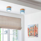 Modern Cylinder LED Flush Mount Ceiling Lamp