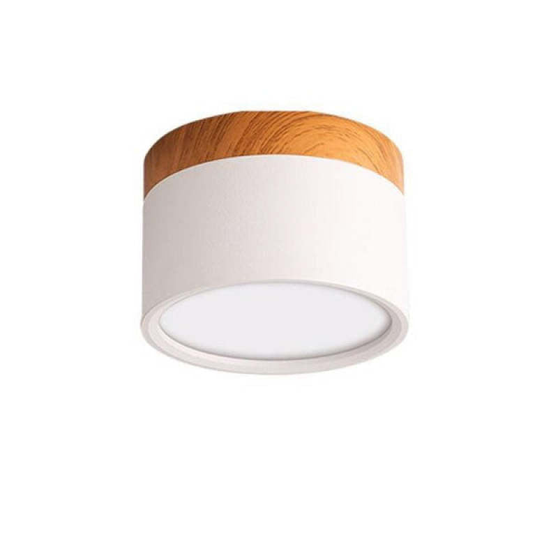 Morandi Style Modern LED Ceiling Lamp