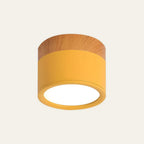 Modern Cylinder LED Flush Mount Ceiling Lamp