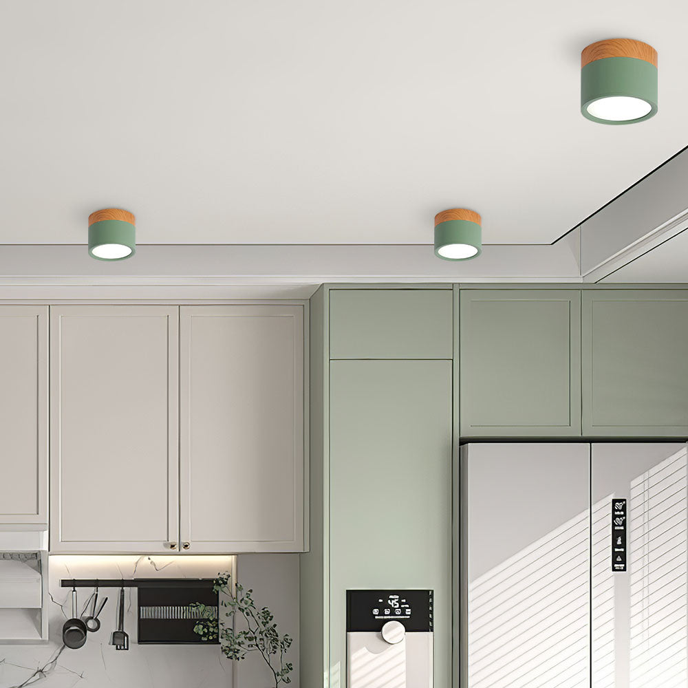 Modern Cylinder LED Flush Mount Ceiling Lamp