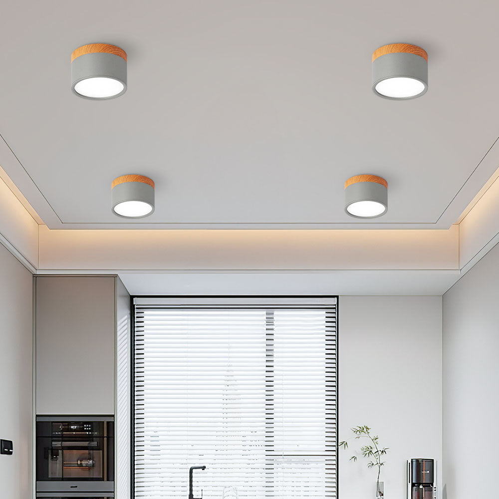 Modern Cylinder LED Flush Mount Ceiling Lamp