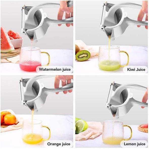 Stainless Steel Citrus Juicer