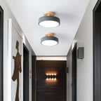 LunaLux Modern LED Ceiling Lamp