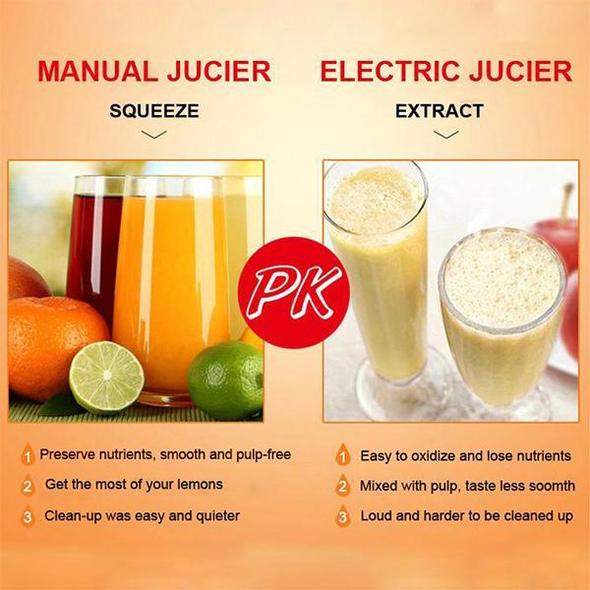 Stainless Steel Citrus Juicer