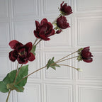 Elegant Peony Stem