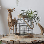 Dekorative Laterne