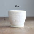 Decorative Plant Pot