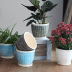 Decorative Plant Pot