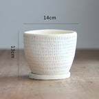 Decorative Plant Pot