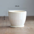 Decorative Plant Pot