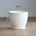 Decorative Plant Pot