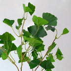 Decorative Ginkgo Leaf Stem