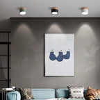 Morandi Style Modern LED Ceiling Lamp