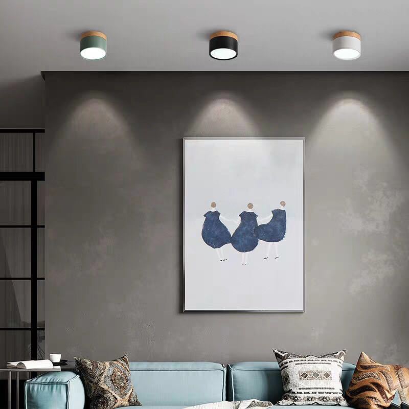 Morandi Style Modern LED Ceiling Lamp