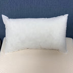 Cushion Inserts (2 Pieces)