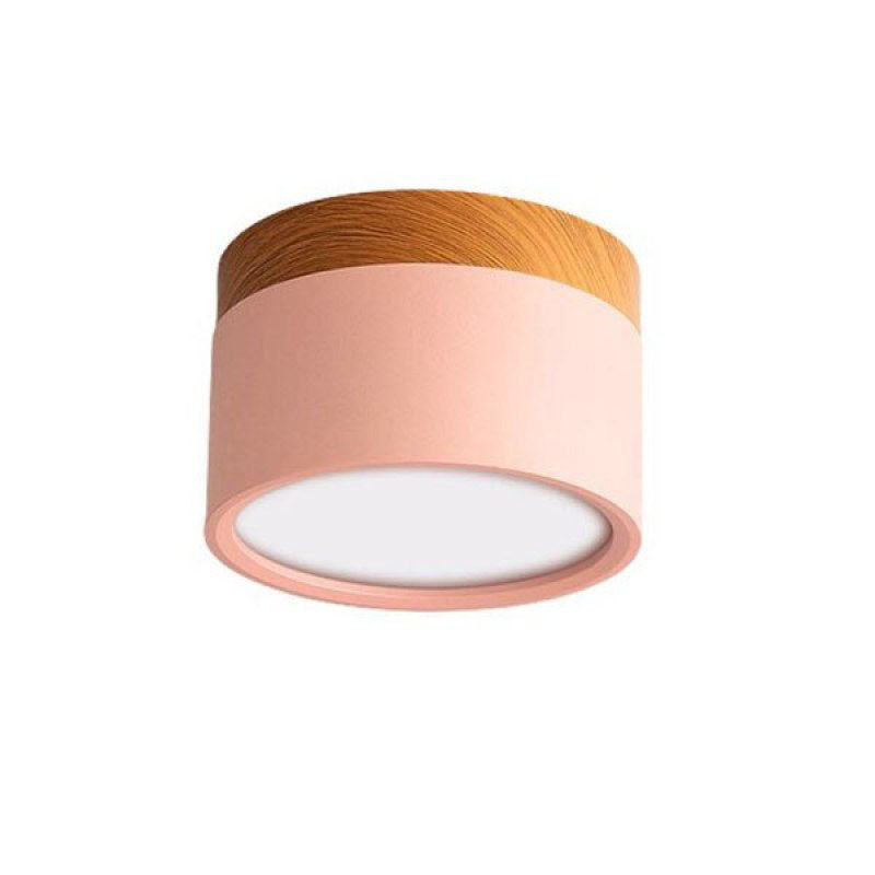 Morandi Style Modern LED Ceiling Lamp