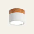 Modern Cylinder LED Flush Mount Ceiling Lamp