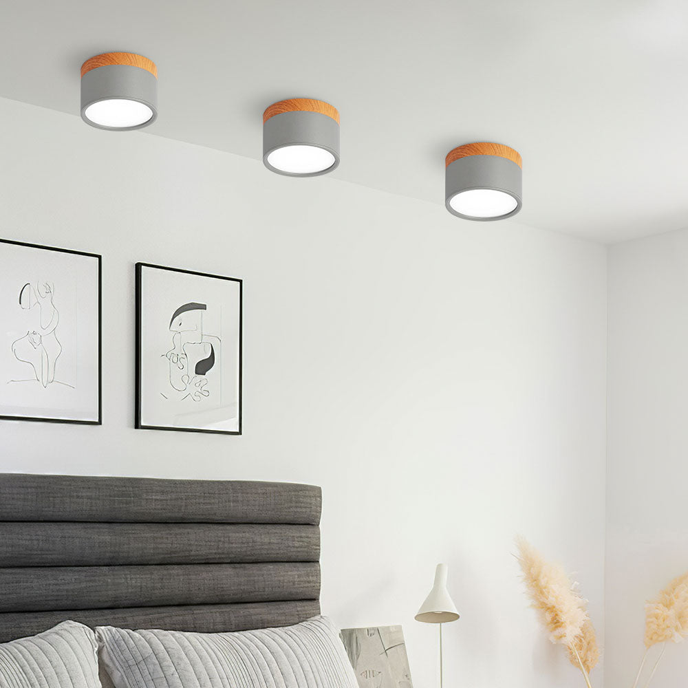 Modern Cylinder LED Flush Mount Ceiling Lamp