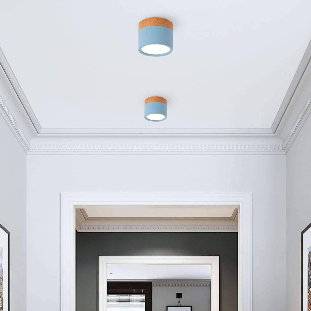 Modern Cylinder LED Flush Mount Ceiling Lamp
