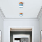Modern Cylinder LED Flush Mount Ceiling Lamp