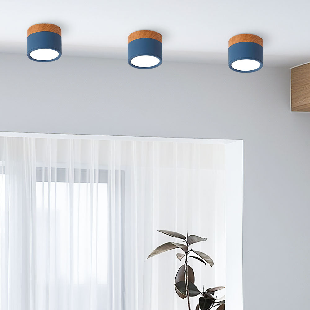 Modern Cylinder LED Flush Mount Ceiling Lamp