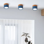 Modern Cylinder LED Flush Mount Ceiling Lamp