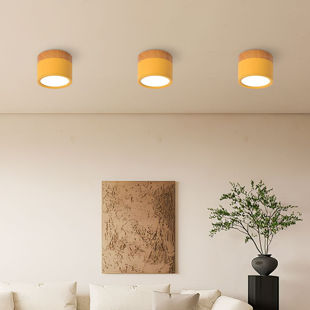 Modern Cylinder LED Flush Mount Ceiling Lamp