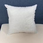 Cushion Inserts (2 Pieces)