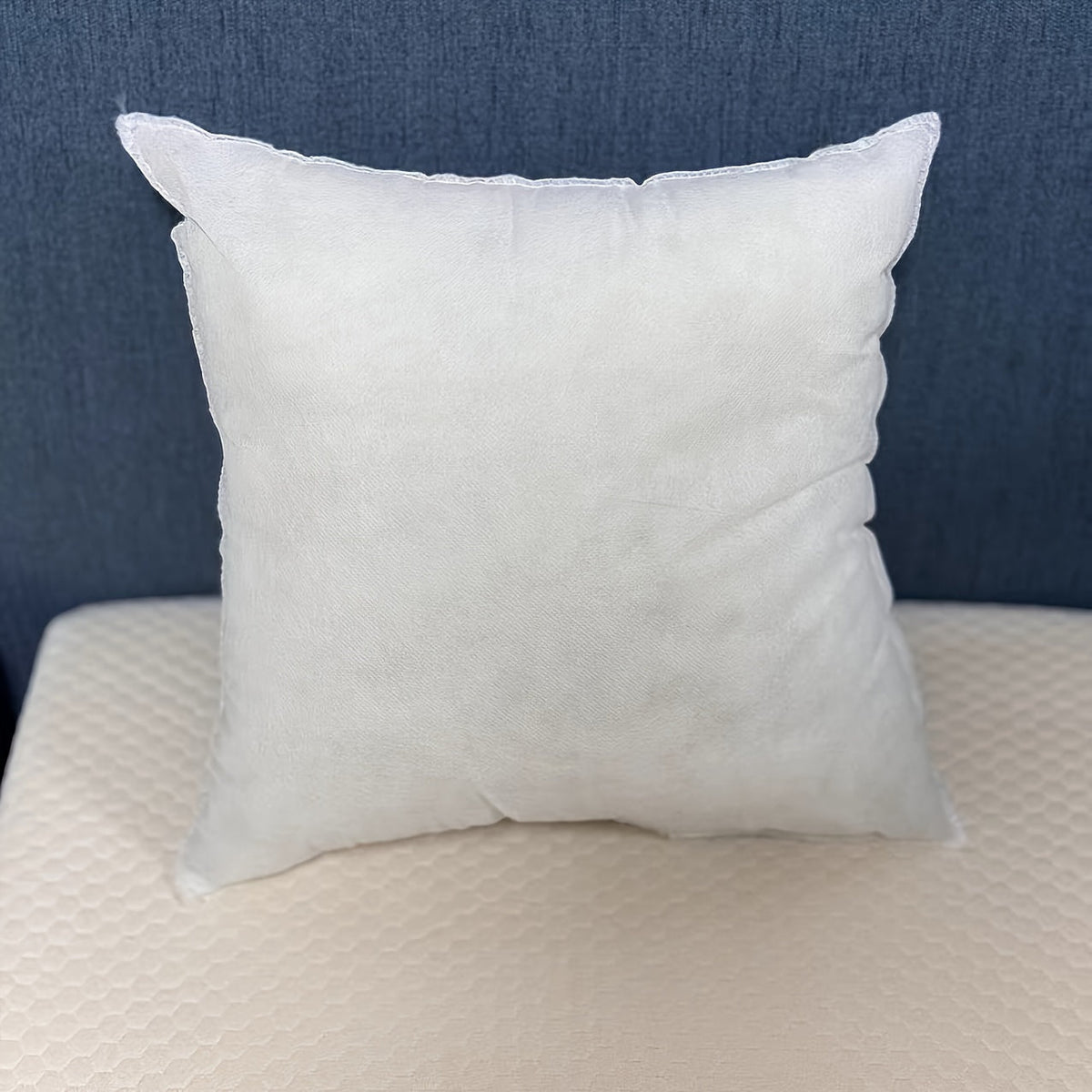 Cushion Inserts (2 Pieces)