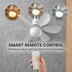 Modern Low Profile Ceiling Fan Light