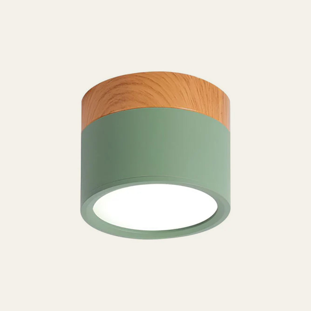 Modern Cylinder LED Flush Mount Ceiling Lamp