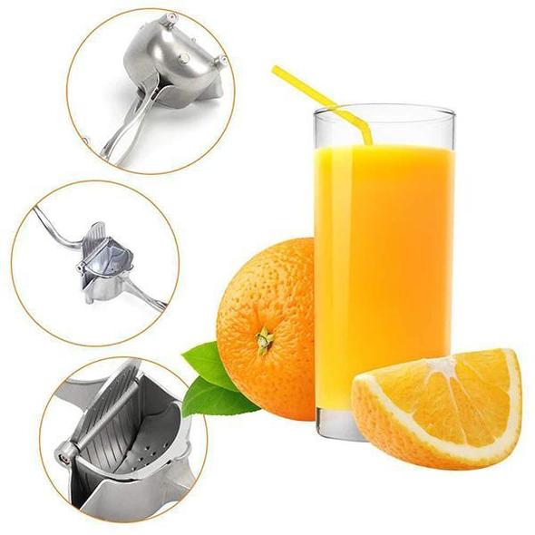 Stainless Steel Citrus Juicer