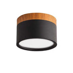 Morandi Style Modern LED Ceiling Lamp