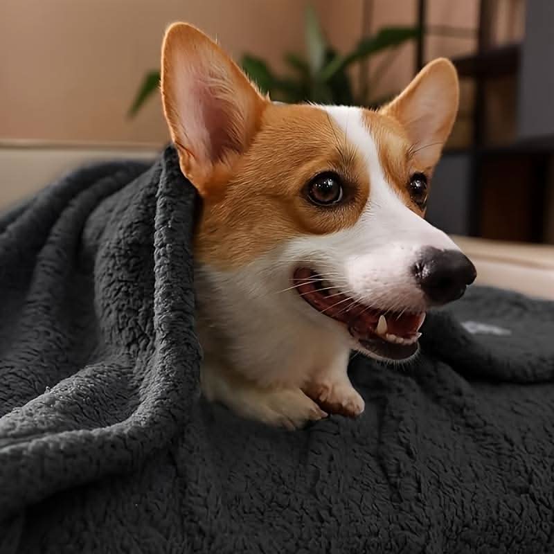 FLOOPIE Premium Pet Fleece Blanket