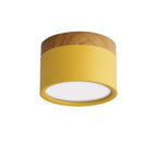 Morandi Style Modern LED Ceiling Lamp