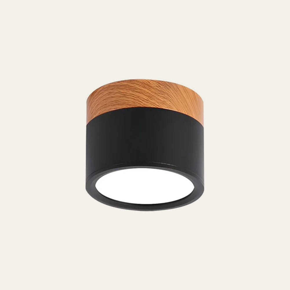 Modern Cylinder LED Flush Mount Ceiling Lamp